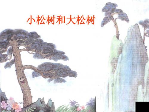 苏教版语文一年级下册：3.8 小松树和大松树 课件(共20张PPT)