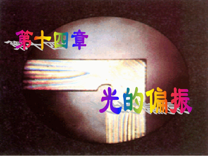 大学物理下 光的偏振