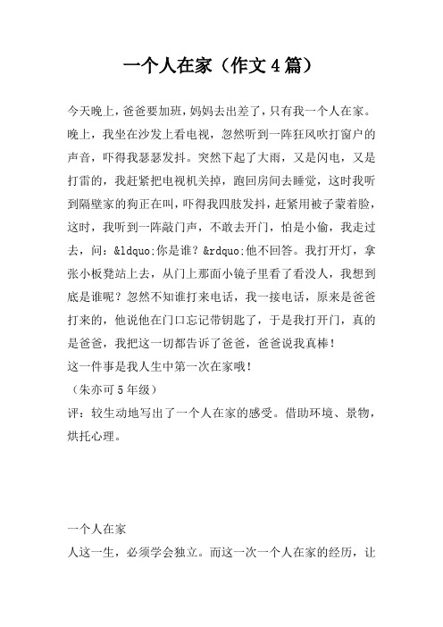 一个人在家(作文4篇)