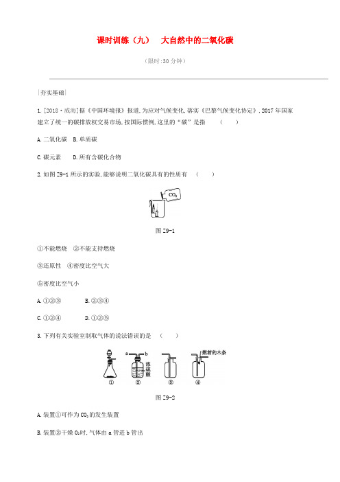最新版九年级中考化学一轮复习第六单元燃烧与燃料课时训练09大自然中的二氧化碳练习鲁教版