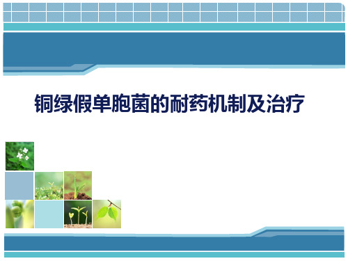铜绿假单胞菌的耐药机制及治疗