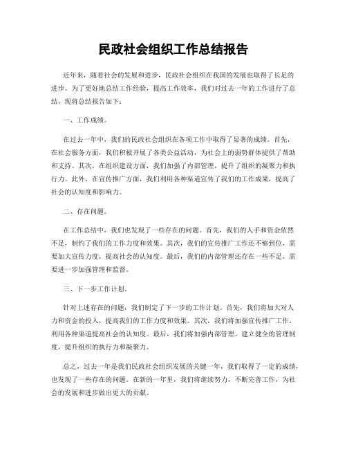 民政社会组织工作总结报告