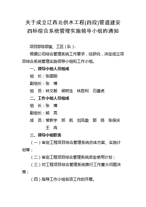 关于成立项目综合系统管理实施领导小组和工作小组的通知