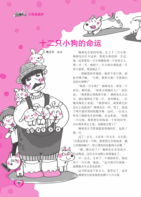 十二只小狗的命运