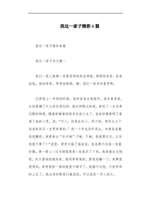 我这一家子精彩6篇