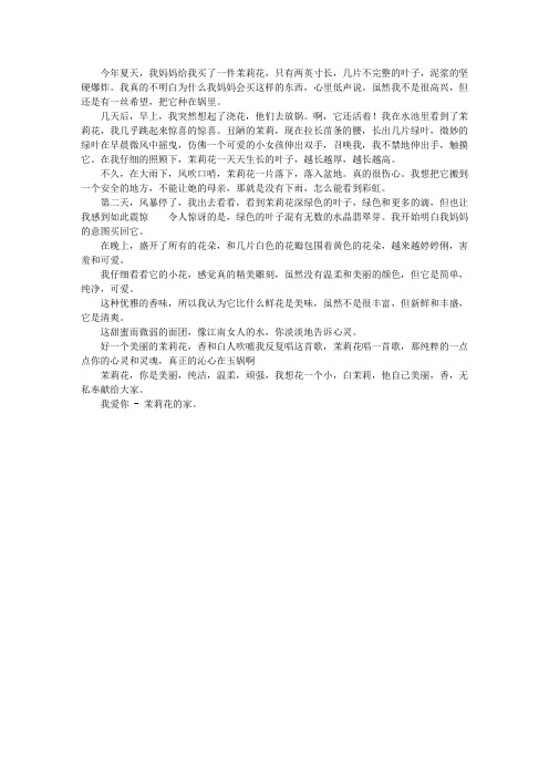 我爱家乡的茉莉花