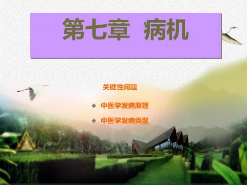 中医基础理论发病ppt课件