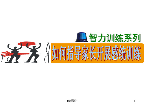 感统训练文稿  ppt课件