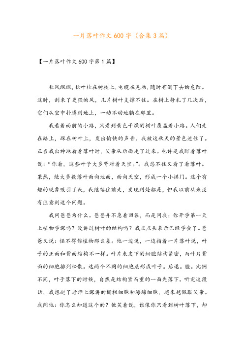 一片落叶作文600字(合集3篇)