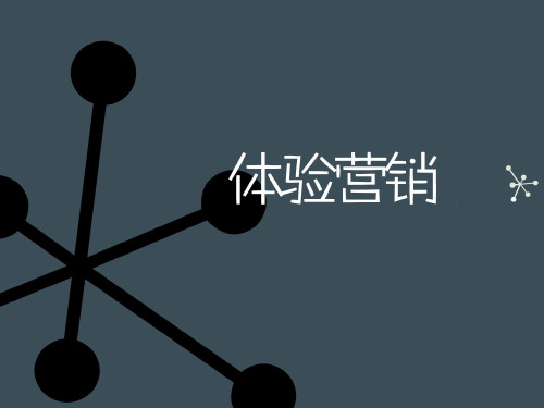 experience marketing