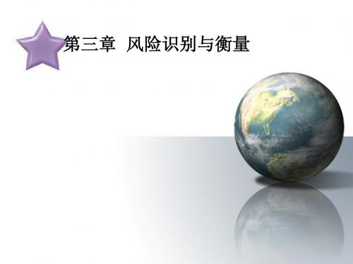 三章风险识别与衡量