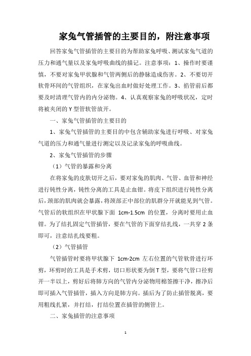 家兔气管插管的主要目的,附注意事项