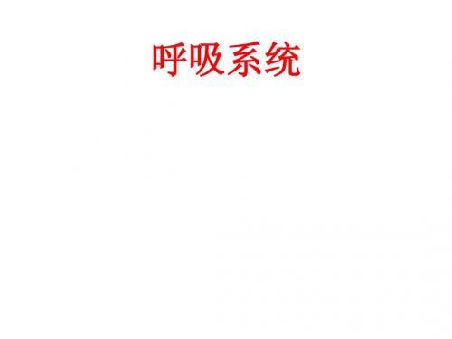 组织胚胎学-呼吸系统