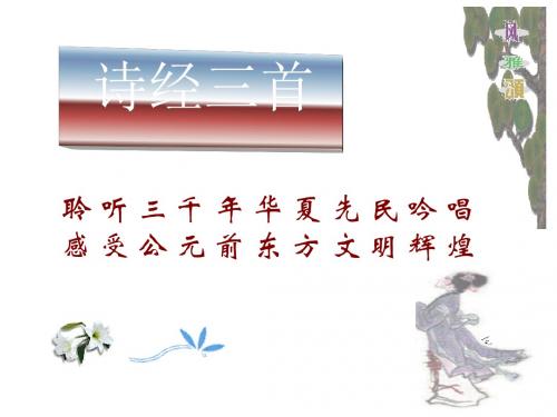 诗经三首 PPT课件 9 人教版