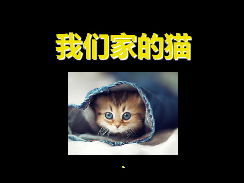 202X春冀教版语文四下《我们家的猫》ppt课件