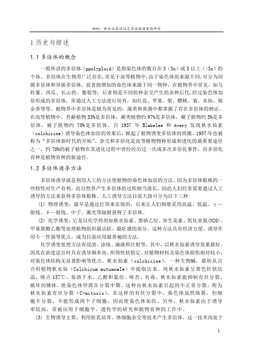 远志论文