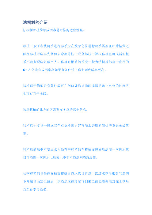 法桐树的介绍