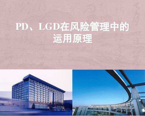 新PD、LGD在风险管理中的运用原理