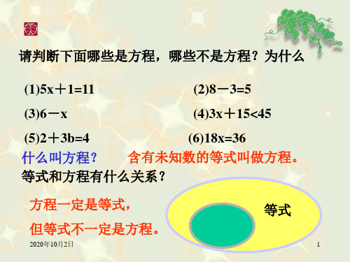 解简易方程课件ppt课件