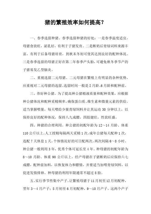 猪繁殖效率如何提高？