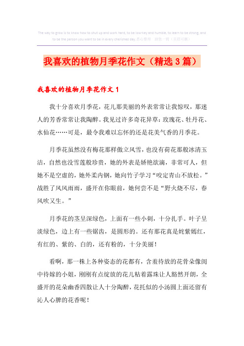我喜欢的植物月季花作文(精选3篇)