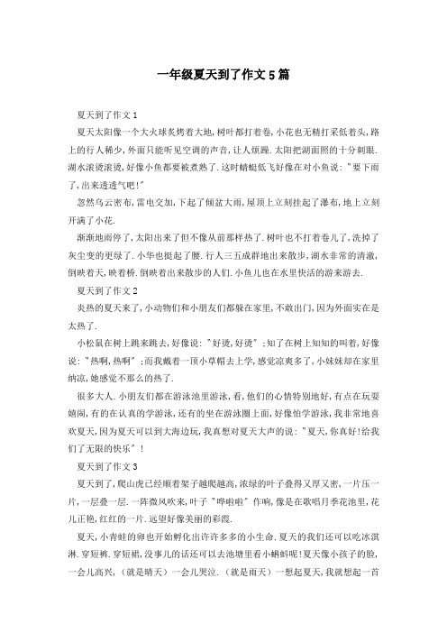 一年级夏天到了作文5篇