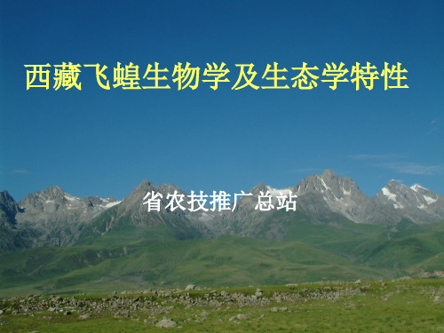 西藏飞蝗青海讲稿