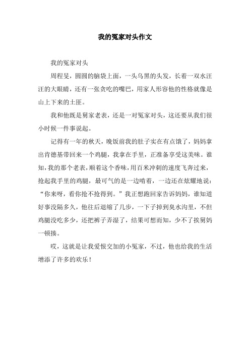我的冤家对头作文