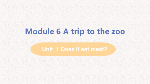 外研版七年级英语上册课件Module 6 A trip to the zoo