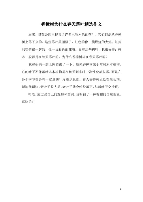 香樟树为什么春天落叶精选作文