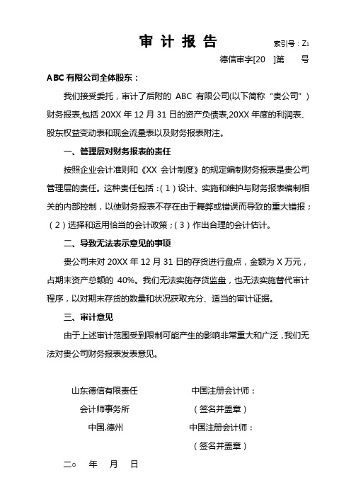 无法表示意见审计报告