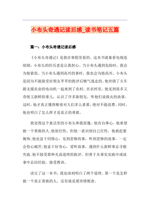 小布头奇遇记读后感_读书笔记五篇