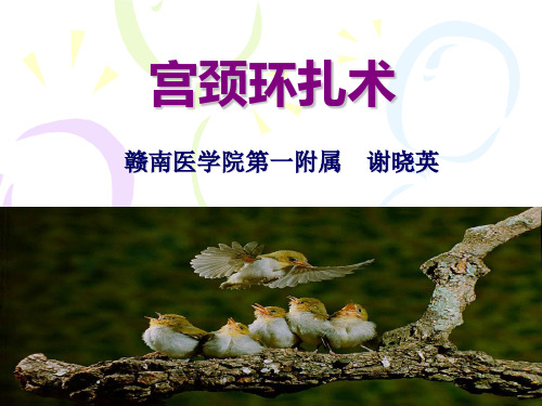宫颈环扎术