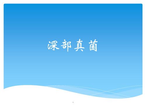 深部真菌课件