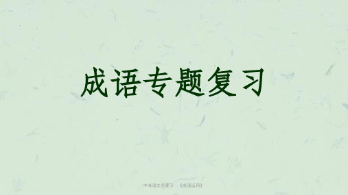 中考语文总复习：《成语运用》课件