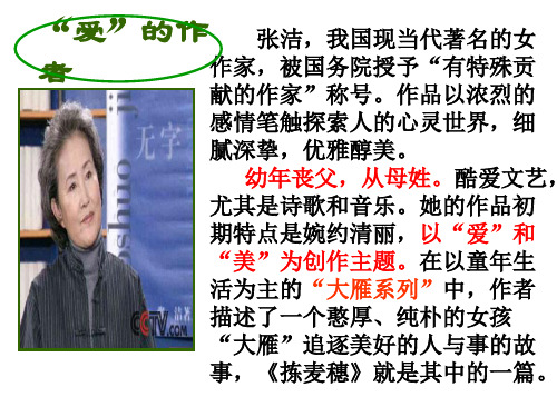 拣麦穗-肖亮琪共22页PPT资料