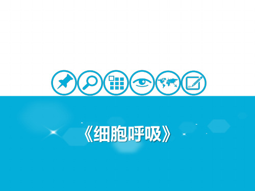 呼吸作用与光合作用 [1]细胞呼吸的过程与影响因素 课件 2021届高考一轮复习生物(共23张PPT)
