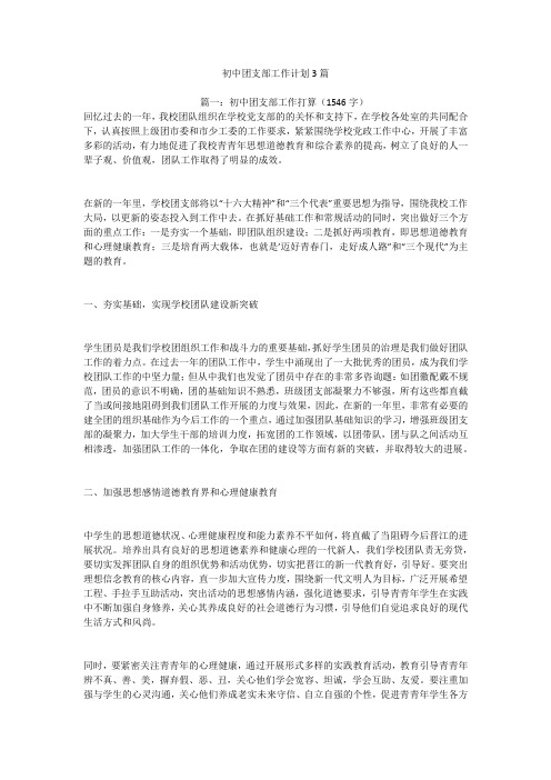 初中团支部工作计划3篇