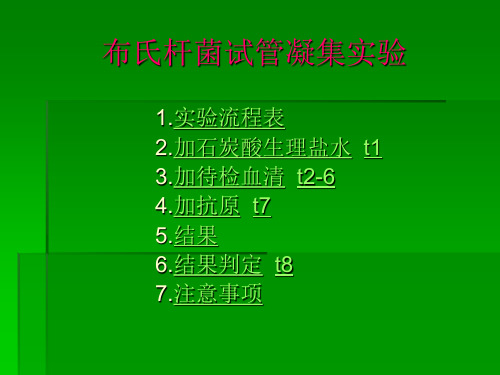 布氏杆菌试管凝集