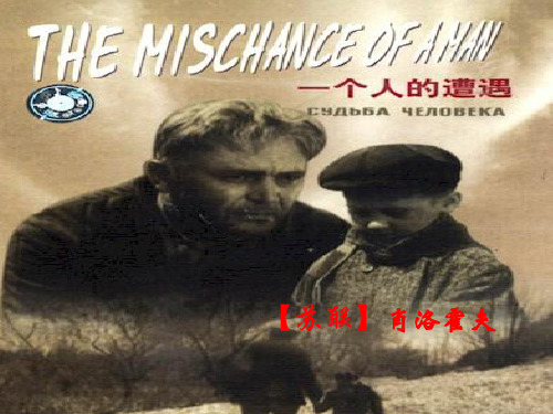 2015—2016高中语文苏教版(必修2)课件：第二专题《一个人的遭遇》(共44张PPT)