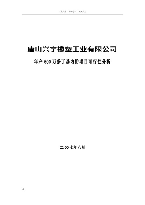 年产600万条丁基内胎项目可行报告