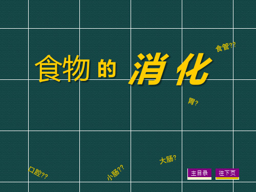 鄂教版三年级上册科学 《食物的消化》生活中的食物PPT课件 (2)