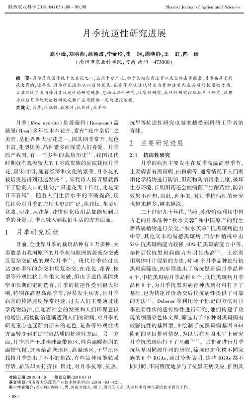 月季抗逆性研究进展