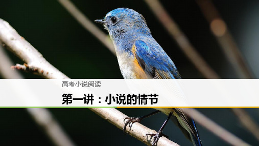 高考小说阅读 第一讲