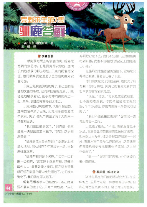 荒野求生第7集 驯鹿苔藓