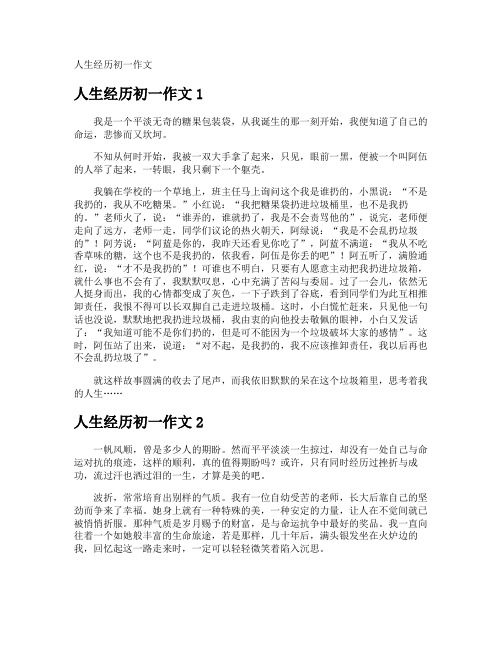 人生经历初一作文