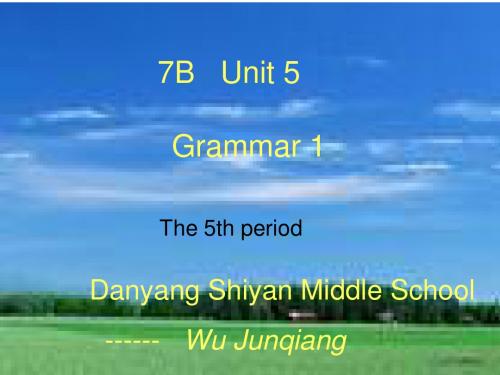 7B Unit 5 Grammar I课件共20页文档