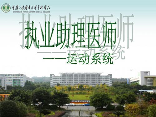 运动系统(执业助理医师考试辅导)