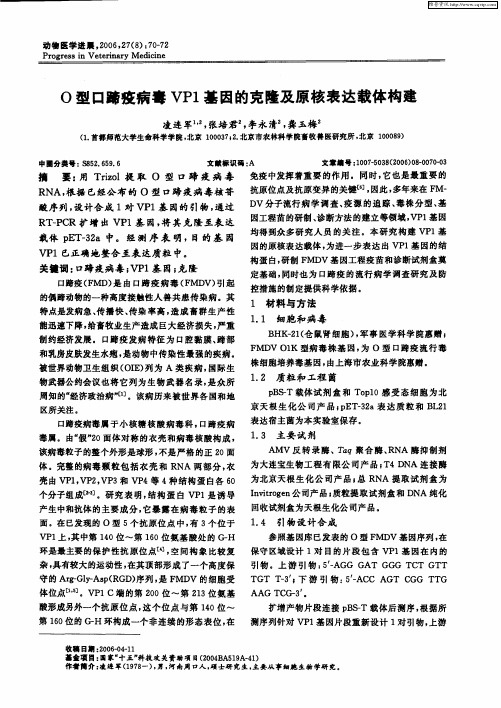 O型口蹄疫病毒VP1基因的克隆及原核表达载体构建
