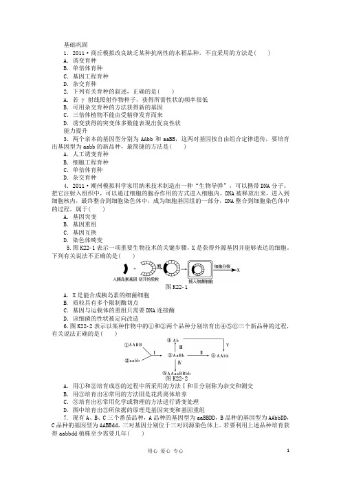 高三生物一轮复习课时作业22 生物变异在生产上的应用 浙科版